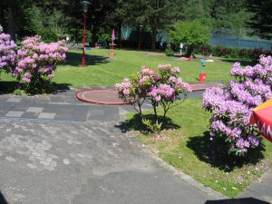 img_075204jpg