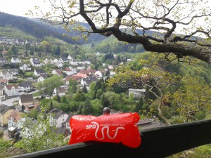 Mehr über den Artikel erfahren Anträge der SPD-Ratsfraktion zum Haushalt 2019 der Stadt Werdohl
